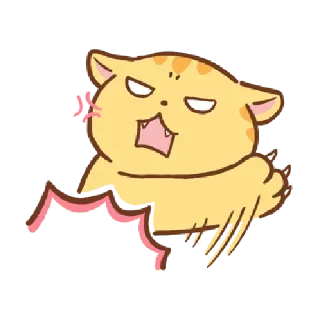🐱