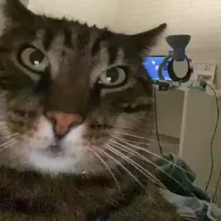 😳