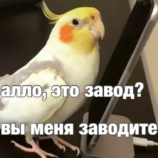 😏