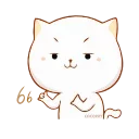 🐱