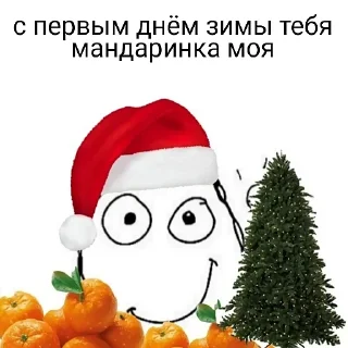 🍊
