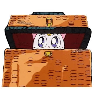 📦