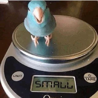 🦜
