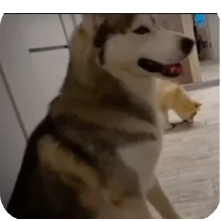 👍