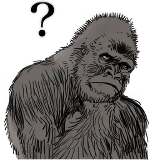 ❓