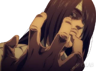 ✋