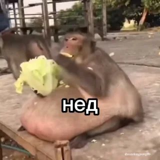 😜
