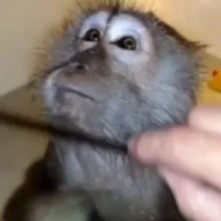 ☺️