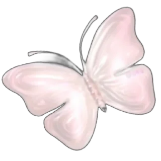 🦋