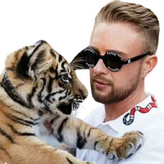 🐯