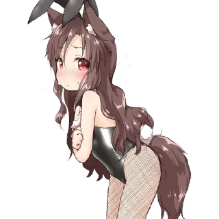🐰