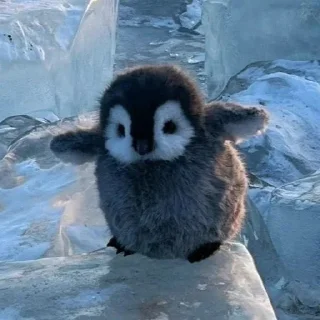 🤗