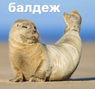 👍