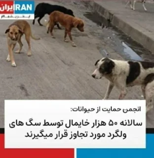 🐕