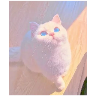 😯