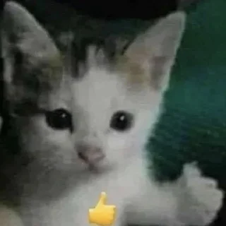 👍