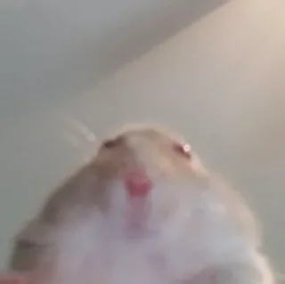 😳
