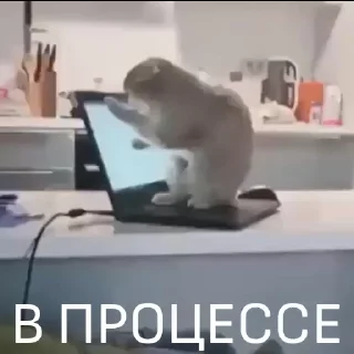 😎