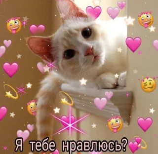 🥺