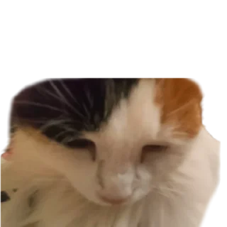 😔