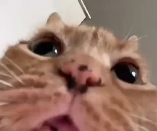 😧