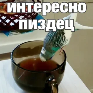 👍