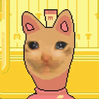 😿