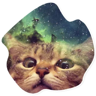 😎