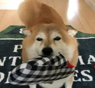 💓