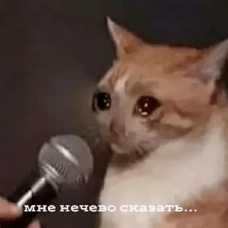 🤭