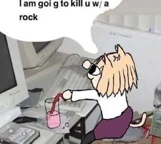 🖥
