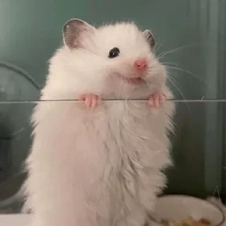 😊