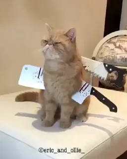 🔪