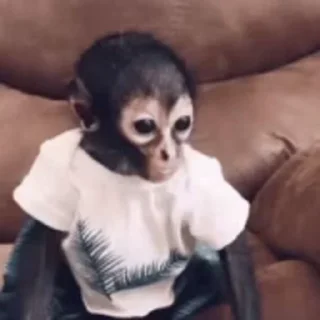 😁