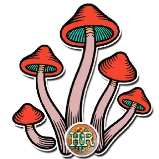 🍄
