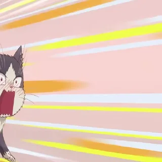 😳