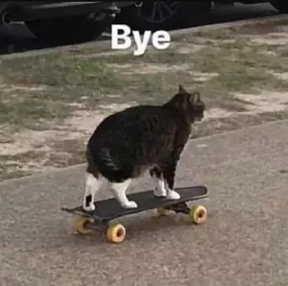 ✋