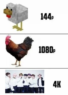 🐓