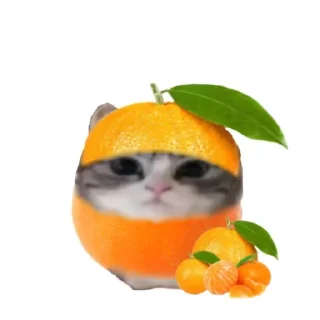 🍊