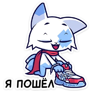 🐱