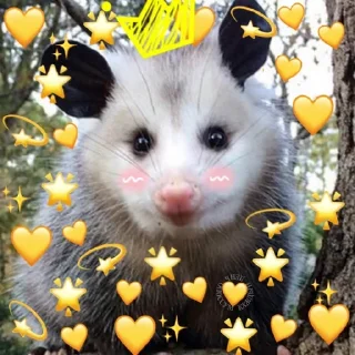 💛