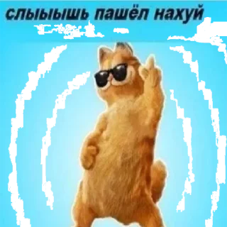 😎