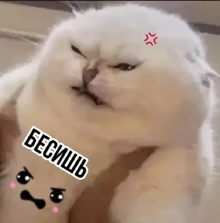 🤬