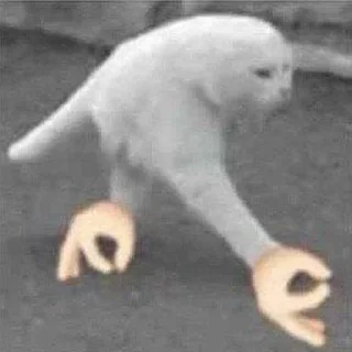 👌