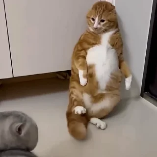 😨