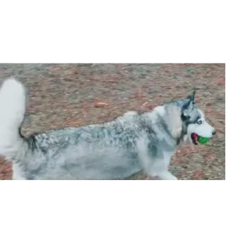 👍