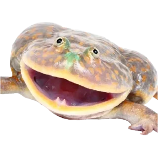 😁