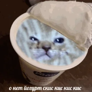 🍼