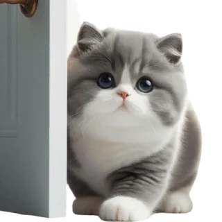 🚪