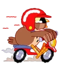 🏍